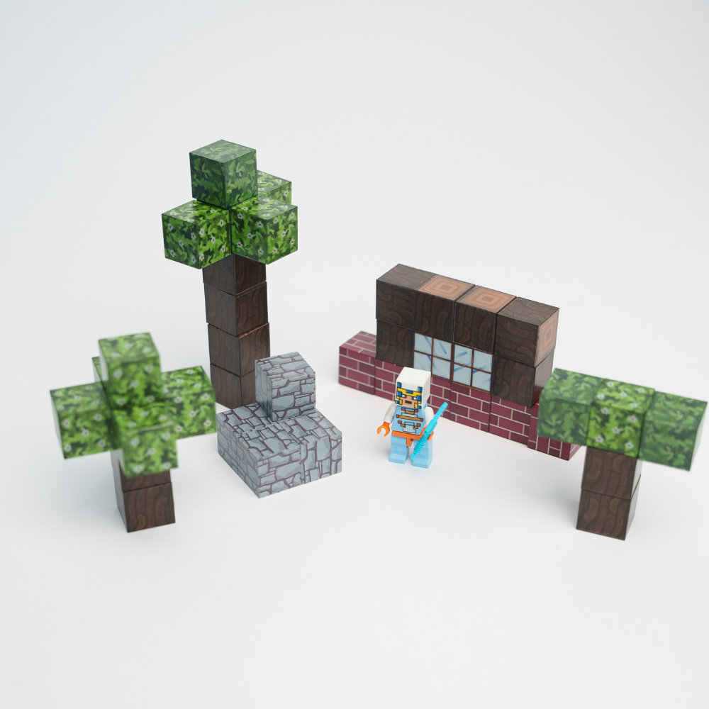 MagnoBlocks